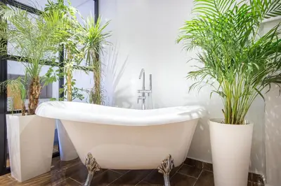 a bath tub in a bathroom with potted plants at Best for group, 5 min from medina in Marrakech