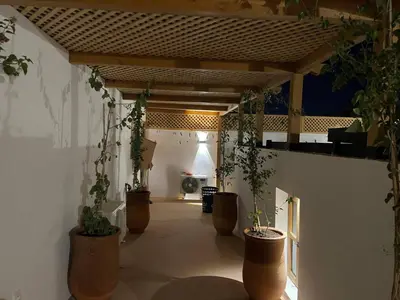 a room with potted plants in pots on a wall at RIAD ZEFYR in Marrakech