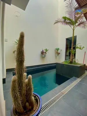 a room with a swimming pool with two cactuses at Riad Love B&B in Marrakech
