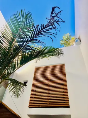 a building with a window and a palm tree at Riad Love B&B in Marrakech