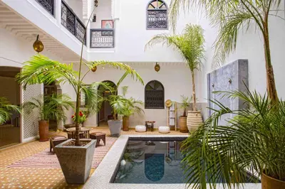 a courtyard with potted plants and a pool at Riad Dabachi in Marrakech