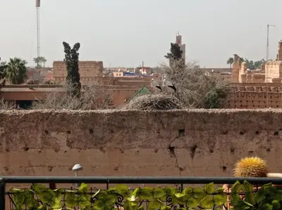 two birds sitting on top of a wall at Stork Marrakech Luxury Hostel in Marrakech