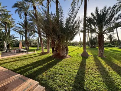 a group of palm trees in a park at Villa Ross in Marrakech