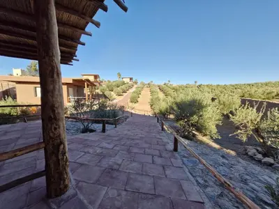 a path through a field of olive trees at Le Parc des Oliviers Ecolodge in Marrakech
