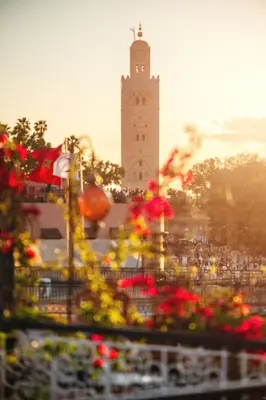 a clock tower in the distance with flowers in the foreground at Riad Persephone in Marrakech