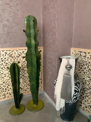 two vases and a cactus in a room at RIAD LE PATIO ROMANTIQUE in Marrakech