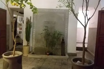 a room with three potted trees in pots at Emplacement N°1 ! RIAD ICA (EN EXCLUSIVITE) in Marrakech