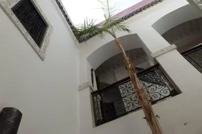 a palm tree sitting on the side of a building at Emplacement N°1 ! RIAD ICA (EN EXCLUSIVITE) in Marrakech