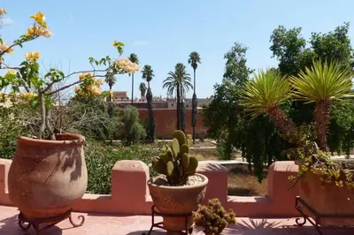 a group of potted plants in a garden at Emplacement N°1 ! RIAD ICA (EN EXCLUSIVITE) in Marrakech