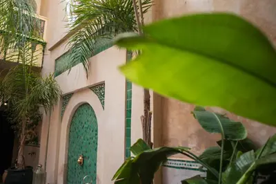 a green door in a building with plants at Riad Dar Habiba by Garden Wonders in Marrakech