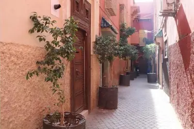 an alley with potted trees on the side of a building at Riad Touareg in Marrakech