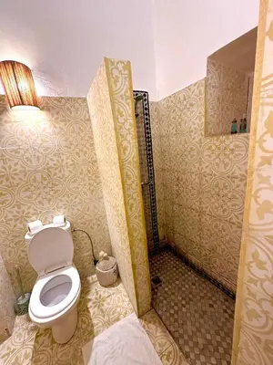 a bathroom with a toilet and a shower at Riad Green Palm in Marrakech