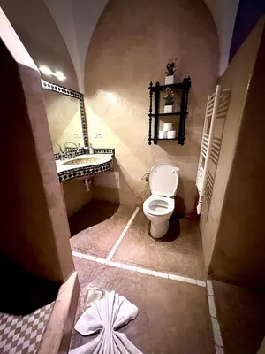 a bathroom with a toilet and a sink and a mirror at Riad Green Palm in Marrakech