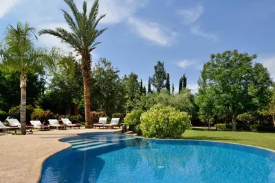 a swimming pool with chairs and a palm tree at Villa Dinari in Douar Caïd Layadi