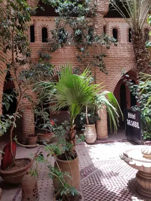 a group of potted plants in front of a brick wall at Hotel Salsabil in Marrakech