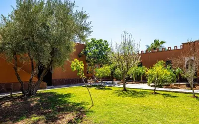 a courtyard with trees and a building at Riad Citronnelle in Marrakech