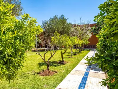 a row of small trees in a garden at Riad Citronnelle in Marrakech