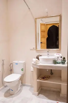 a bathroom with a toilet and a sink and a mirror at Riad El Habib in Marrakech