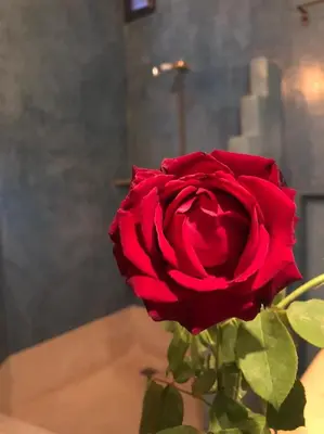 a red rose in a vase on a table at Riad Sabah in Marrakech
