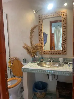 a bathroom with a sink and a toilet and a mirror at Riad Palmier fleuri in Marrakech