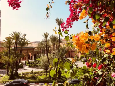 a view of a courtyard with palm trees and flowers at Riad Palmier fleuri in Marrakech