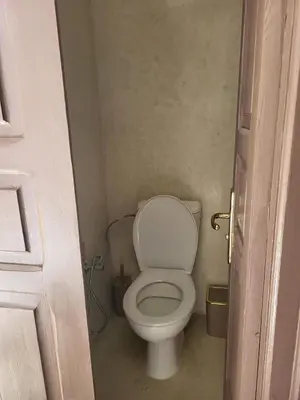 a bathroom with a white toilet in a room at Riad MsHolidays bassin privatisé Marrakech in Marrakech