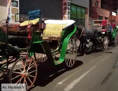 a horse drawn carriage on the side of a street at Agréable appartement au coeur de Guéliz, Marrakech in Marrakech