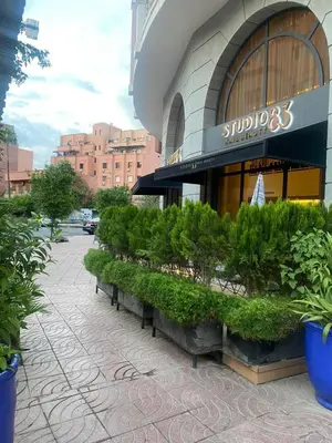 a row of plants sitting outside of a building at studio design carre eden gueliz IPTV , NETFLIX , WIFI, in Marrakech
