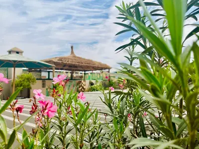 a view of a resort with pink flowers at Riad Dar Fanny in Marrakech