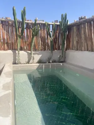 a swimming pool with a cactus next to a fence at Riad Nekhla in Marrakech