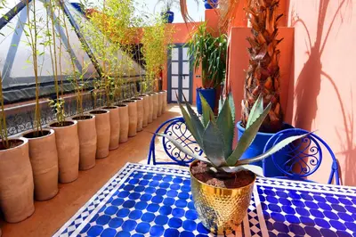 Gallery image of Riad CK Medina in Marrakech