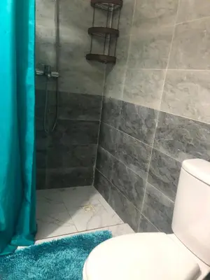 a bathroom with a shower with a toilet at Appartement cosy et discret in Marrakech