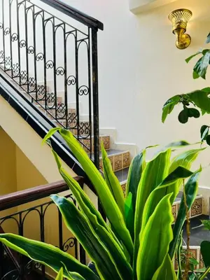 a plant sitting in front of a staircase at Riad MS holidays terrasse privatisé Marrakech in Marrakech