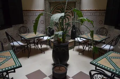 a large potted plant in a room with tables and chairs at JHDARINNA in Marrakech