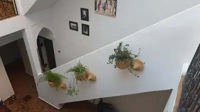 a group of potted plants on a stair case at Riad dar Karam in Marrakech