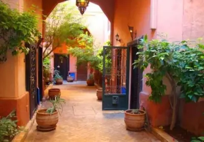 a hallway filled with potted plants in a building at Jolie petit Riyad avec piscine belle terrasse wifi in Marrakech