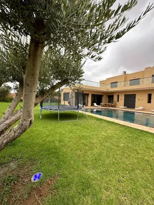 a blue frisbee sitting on the grass next to a tree at Villa 7palms in Marrakech