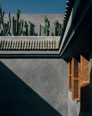 a house with cactus on the roof and a window at Riad no37 in Marrakech