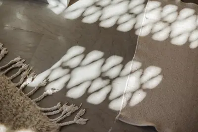 a shadow of a plant on the floor at Villa de luxe Sahara in Marrakech