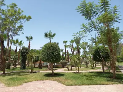 a park full of palm trees and bushes at Marrakech M Avenue terrasse jardin in Marrakech