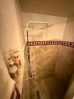 a shower in a bathroom with a sink and a shower at Riad BB Marrakech in Marrakech