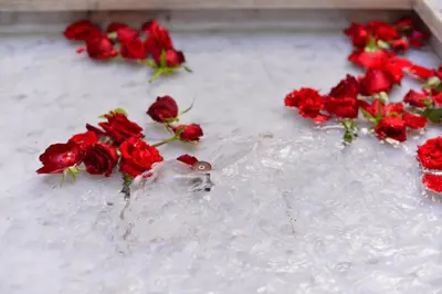 a group of red roses sitting on the snow at Riad Marana Hotel & Spa in Marrakech