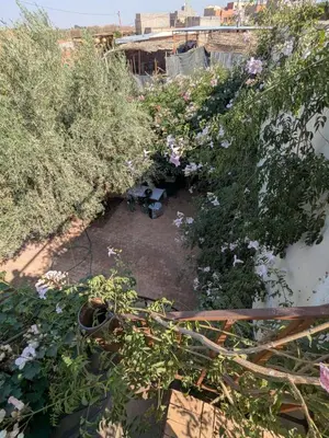 a garden with flowers and plants on a wall at Dar saafia in Marrakech