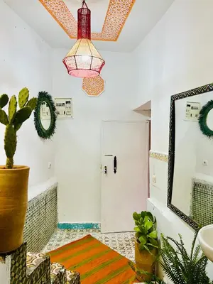 a bathroom with a potted plant and a mirror at Dar jamaa lfna in Marrakech
