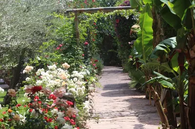 a path through a garden with flowers at Jnane Leila in Marrakech