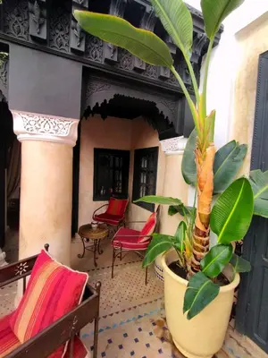 a plant in a large pot on a patio at Riad Dowaya in Marrakech