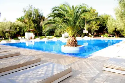 a palm tree sitting next to a swimming pool at La Maison Des Oliviers in Marrakech