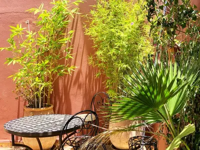 a table and chairs in a garden with plants at Riad Al Mamoune in Marrakech