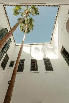 a palm tree in the ceiling of a building at Ryad Dyor in Marrakech