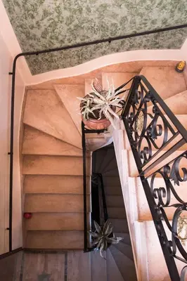 a spiral staircase with a potted plant on a table at Riad Mazal in Marrakech